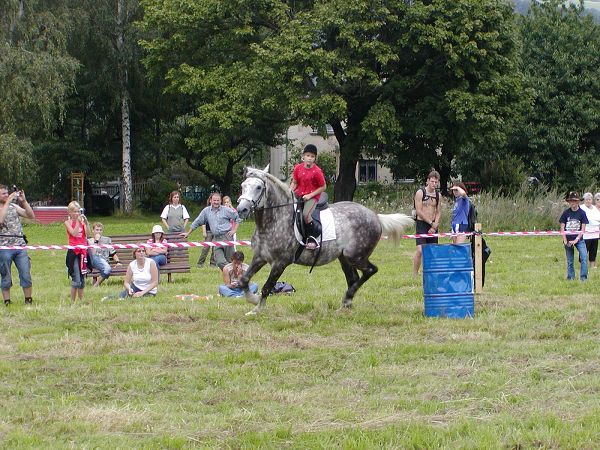Rodeo v Horn�m Podlu�� - srpen 2005
