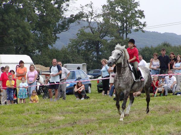 Rodeo v Horn�m Podlu�� - srpen 2005