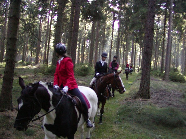 Hubertova j�zda 2005