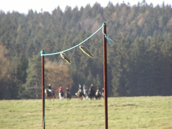Hubertova j�zda 2005