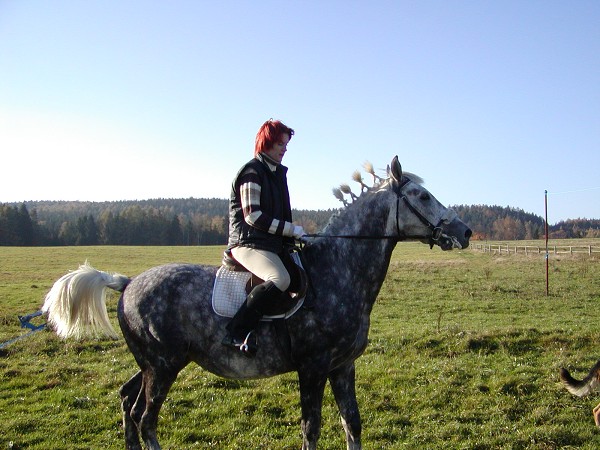 Hubertova j�zda 2005