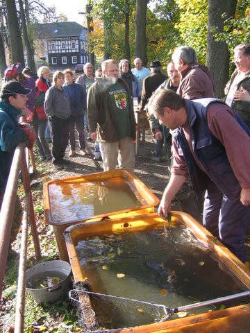 28. října 2006 10:13:42