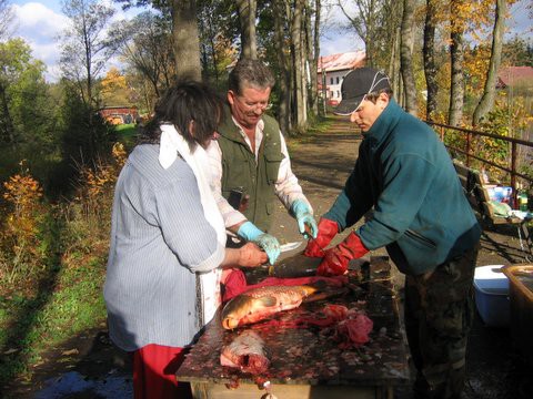 28. října 2006 10:57:16